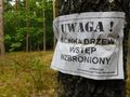 Wycinka lasów