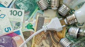 Żarówki na tle pieniędzy