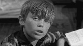 Marek Piegus z serialu "Niewiarygodne przygody Marka Piegusa"