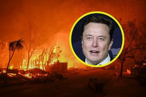 Musk