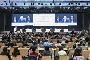 Konferencja COP29 w Baku