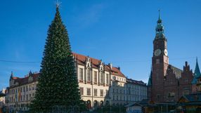 Choinka we Wrocławiu