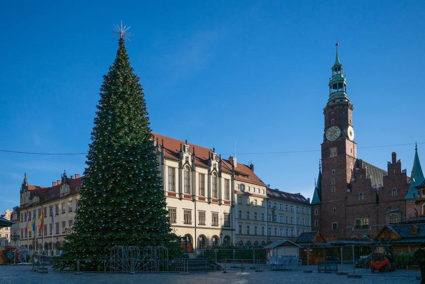 Choinka we Wrocławiu