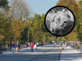 Warszawskie ZOO