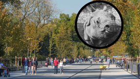Warszawskie ZOO