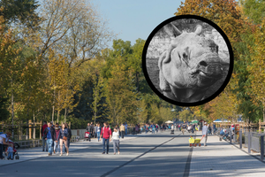 Warszawskie ZOO