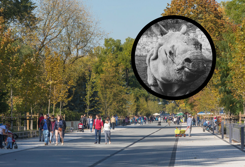 Warszawskie ZOO