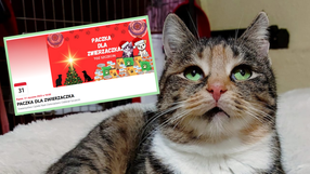 Świąteczna akcja TOZ Szczecin