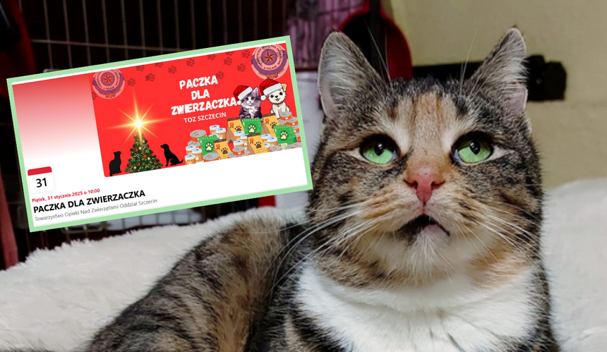 Świąteczna akcja TOZ Szczecin