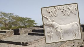 pismo Harappa