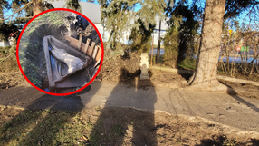 Odkrycie pod Wrocławiem