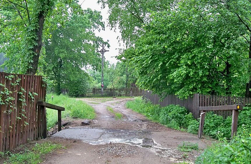 Ponurzyca