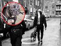 Agresywny pitbull zaatakował kobietę i dziecko
