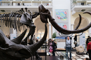 Muzeum Geologiczne w Warszawie