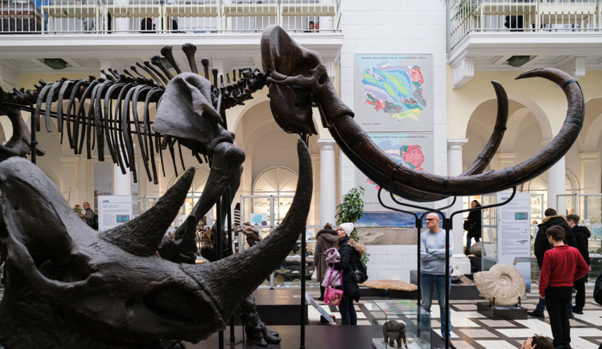 Muzeum Geologiczne w Warszawie