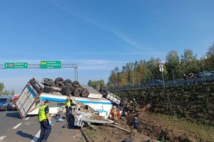 tragedia pawłowo