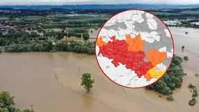 nowa prognoza