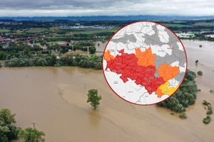 nowa prognoza