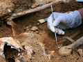prace archeologiczne
