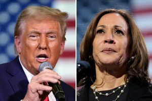 Trump Harris