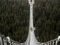 Sky Bridge 721
