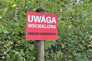 Tablica inforująca o wściekliźnie