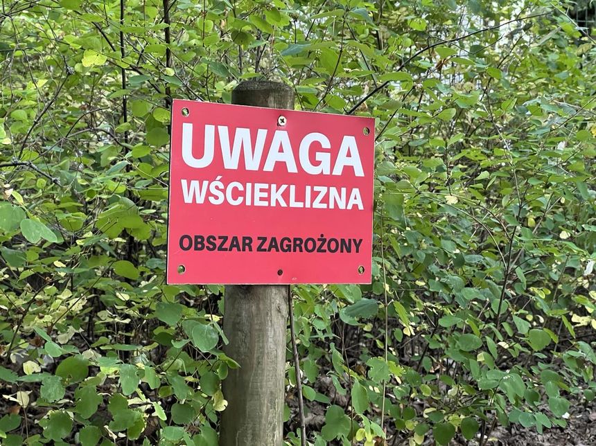 Tablica inforująca o wściekliźnie