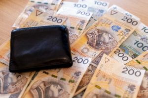 portfel leżacy na pieniądzach