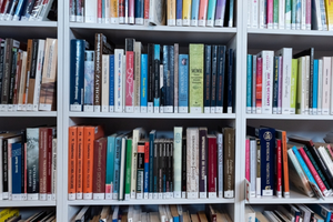 Biblioteczna półka z książkami