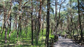 JuraPark w Solcu Kujawskim
