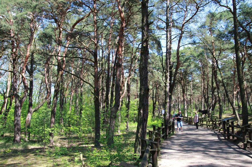 JuraPark w Solcu Kujawskim