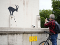 Banksy - nowa praca
