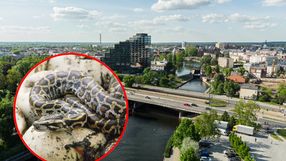 Bydgoszcz