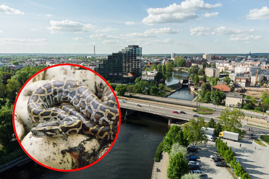 Bydgoszcz