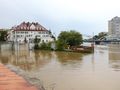 Odra w Opolu