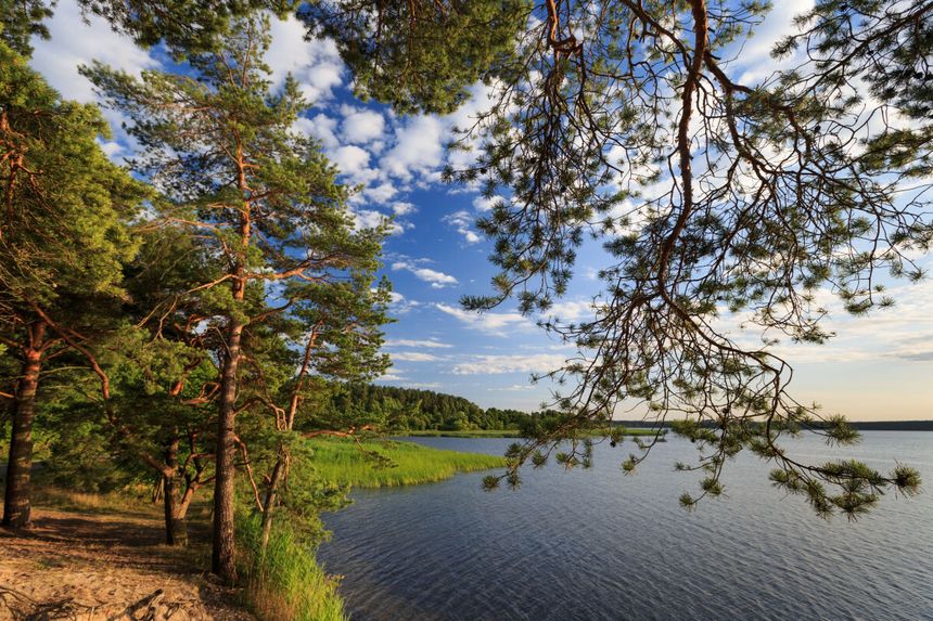 Jezioro Charzykowskie