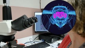 Labolatorium