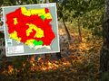zagrożenie pożarowe w lasach