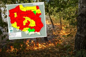 zagrożenie pożarowe w lasach