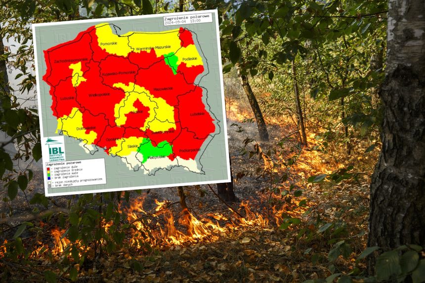 zagrożenie pożarowe w lasach