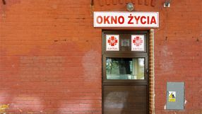 sześciolatka w oknie życia
