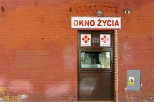 sześciolatka w oknie życia
