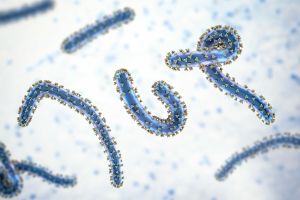 Epidemia w Rwandzie