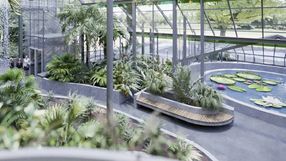 Nowa palmiarnia we Wrocławiu - wizualizacja