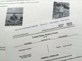 Afgańczyk planował zamach w USA