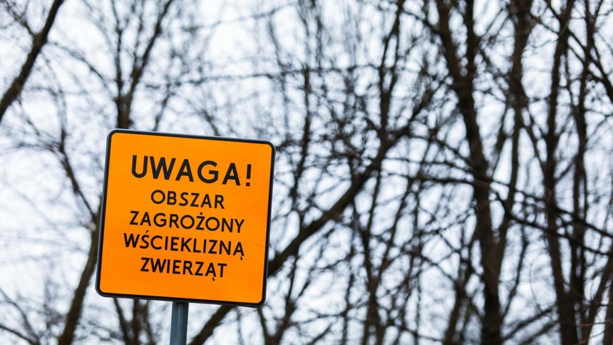 Tablica z napisem Uwaga Obszar zagrożony wścieklizną