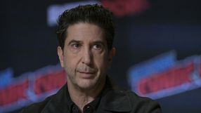 David Schwimmer