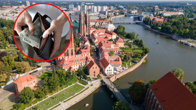 Stypendium we Wrocławiu