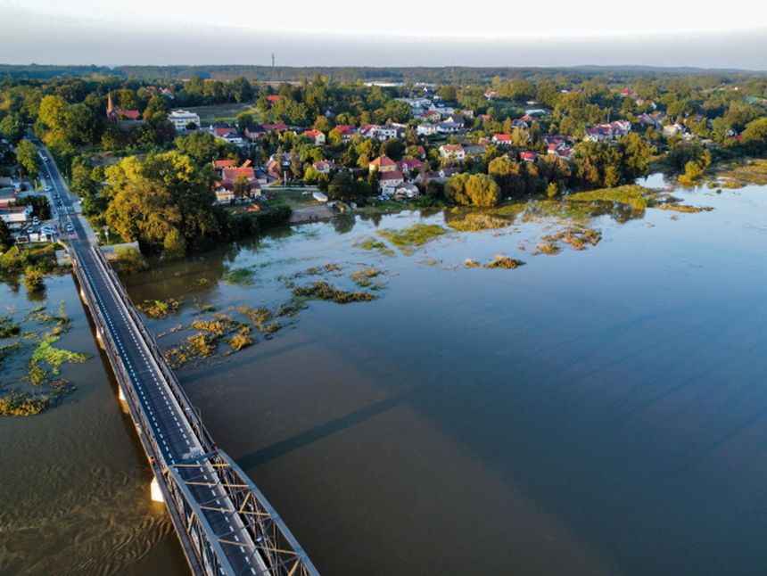 Odra w Cigacicach
