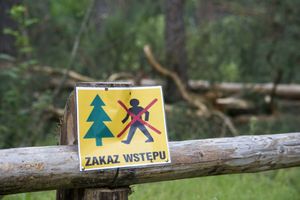 Zakaz wstępu do lasu